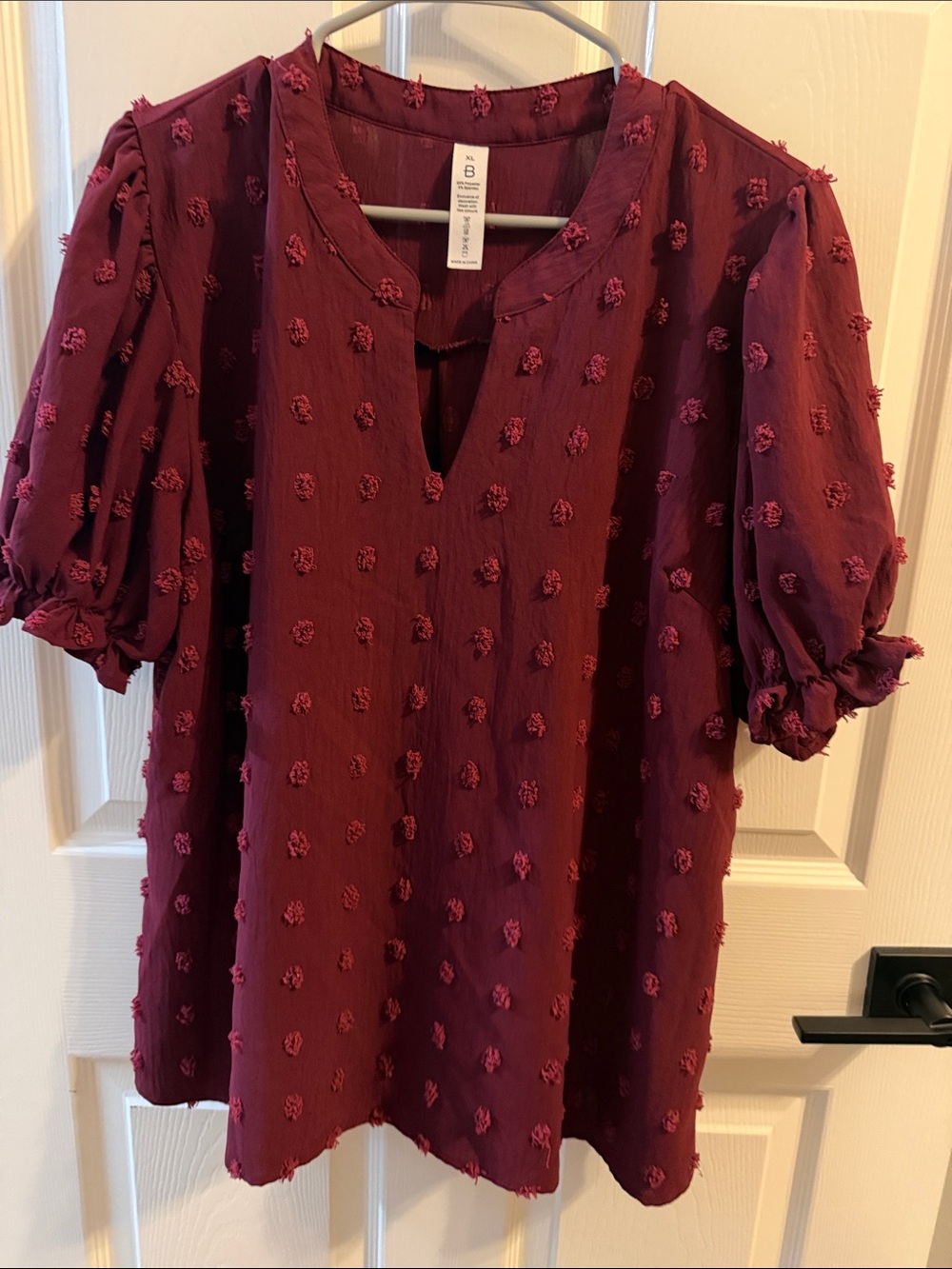 Amazon wine Puff-Sleeve V-Neck Blouse